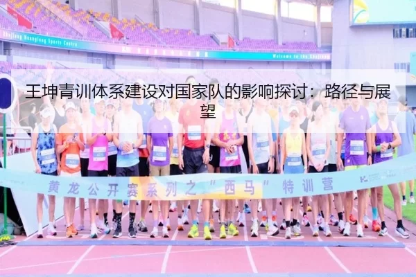 王坤青训体系建设对国家队的影响探讨：路径与展望